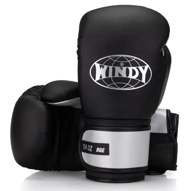 Windy Bokshandschoenen Elite Zwart-Zilver