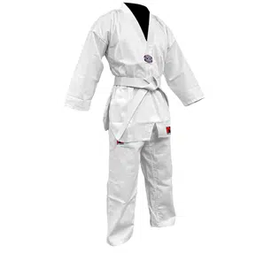 Taekwondo